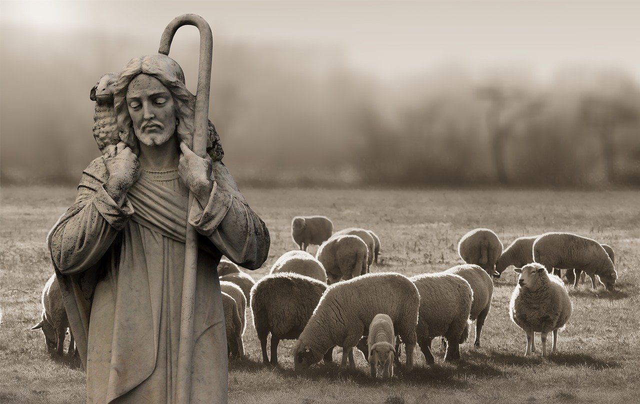 Shepherd