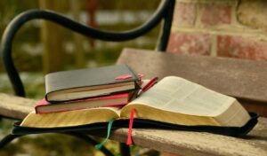 Bible books